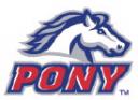 Pony League